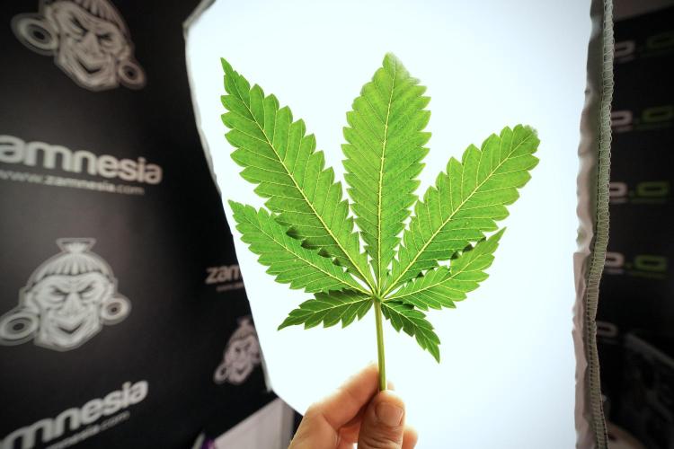 Skywalker OG Legends of the 12/12 Galaxy. Week 6 - Sky Walker OG clean up day 