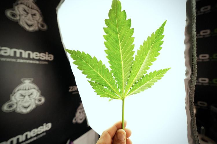 Skywalker OG Legends of the 12/12 Galaxy. Week 6 - Sky Walker OG clean up day 