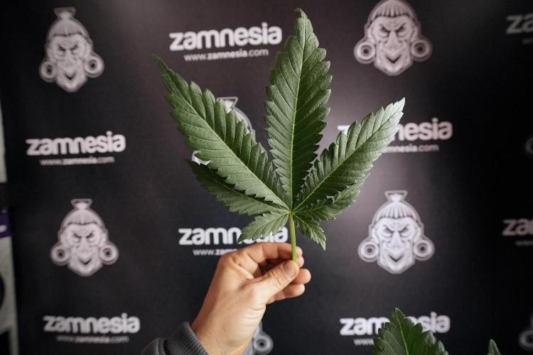 Skywalker OG Legends of the 12/12 Galaxy. Week 6 - Sky Walker OG clean up day 