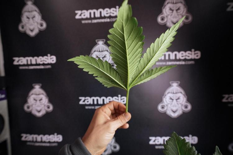 Skywalker OG Legends of the 12/12 Galaxy. Week 6 - Sky Walker OG clean up day 