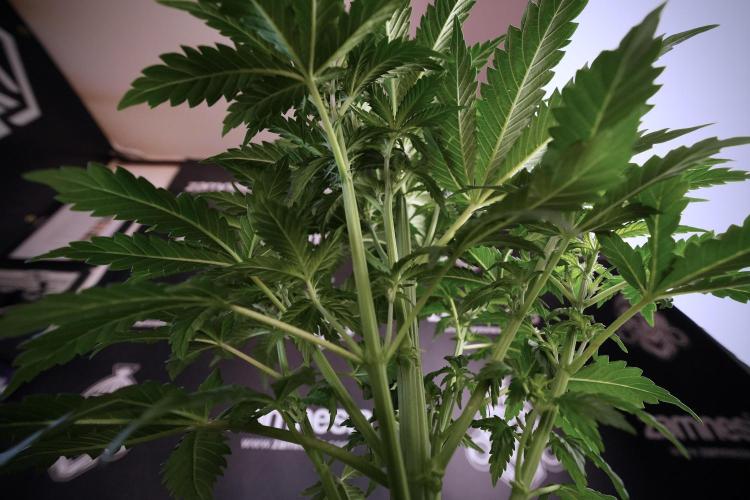 Skywalker OG Legends of the 12/12 Galaxy. Week 6 - Sky Walker OG clean up day 