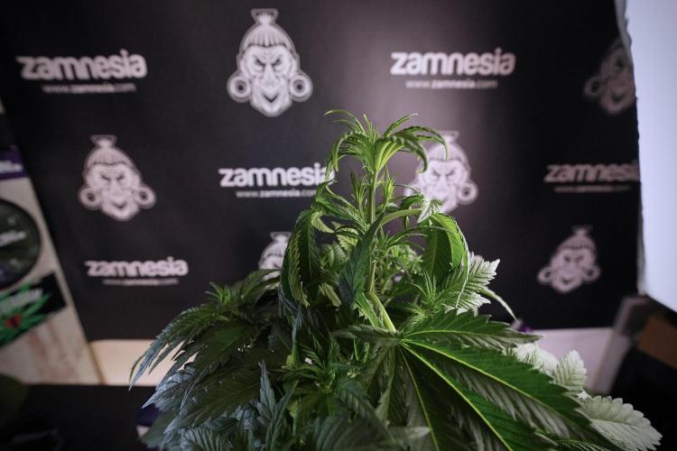 Skywalker OG Legends of the 12/12 Galaxy. Week 6 - Sky Walker OG clean up day 