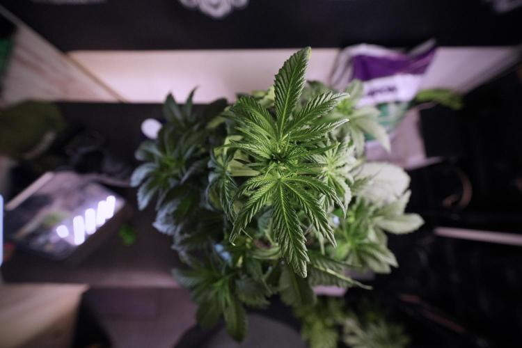 Skywalker OG Legends of the 12/12 Galaxy. Week 6 - Sky Walker OG clean up day 