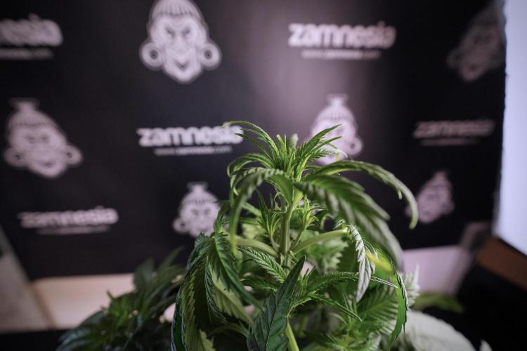 Skywalker OG Legends of the 12/12 Galaxy. Week 6 - Sky Walker OG clean up day 