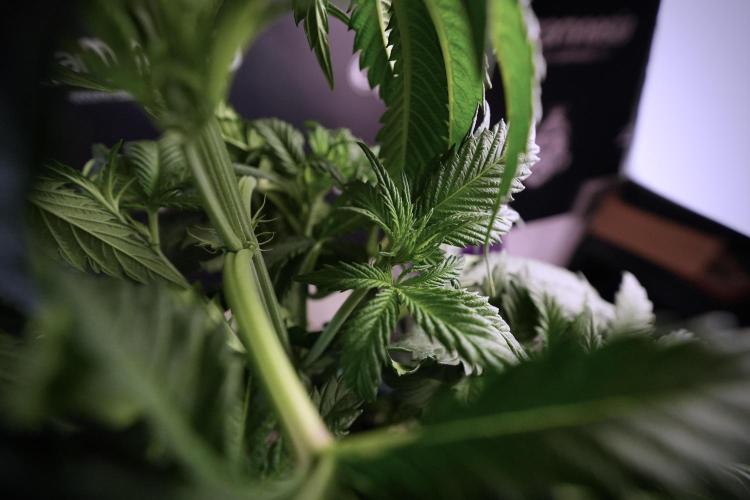 Skywalker OG Legends of the 12/12 Galaxy. Week 6 - Sky Walker OG clean up day 