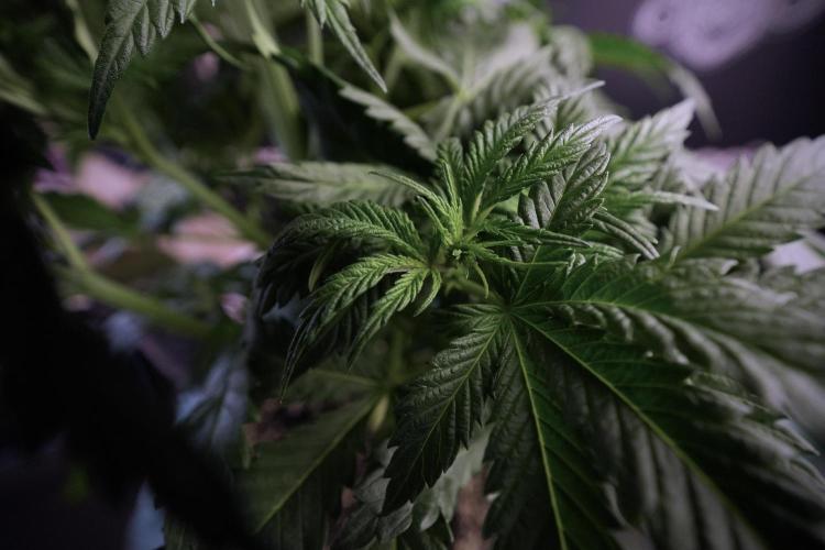 Skywalker OG Legends of the 12/12 Galaxy. Week 6 - Sky Walker OG clean up day 