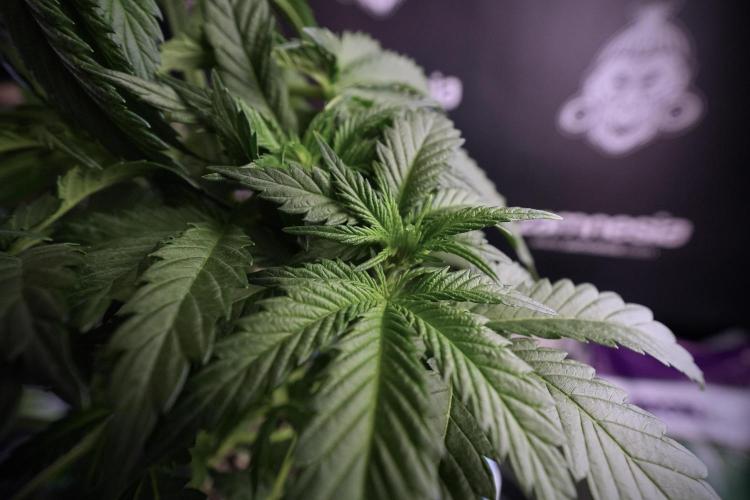 Skywalker OG Legends of the 12/12 Galaxy. Week 6 - Sky Walker OG clean up day 