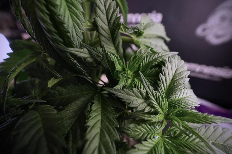 Skywalker OG Legends of the 12/12 Galaxy. Week 6 - Sky Walker OG clean up day 