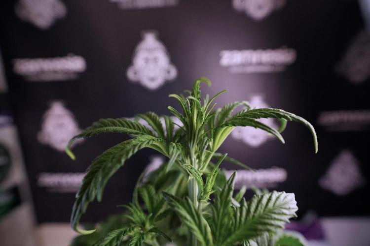 Skywalker OG Legends of the 12/12 Galaxy. Week 6 - Sky Walker OG clean up day 