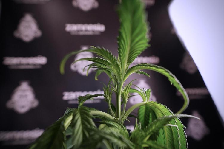 Skywalker OG Legends of the 12/12 Galaxy. Week 6 - Sky Walker OG clean up day 