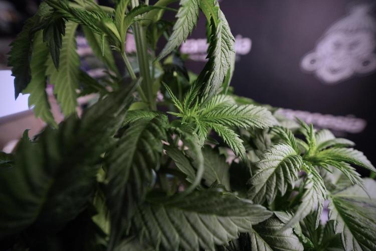 Skywalker OG Legends of the 12/12 Galaxy. Week 6 - Sky Walker OG clean up day 