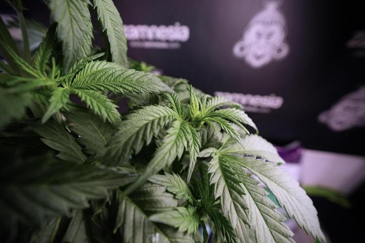 Skywalker OG Legends of the 12/12 Galaxy. Week 6 - Sky Walker OG clean up day 