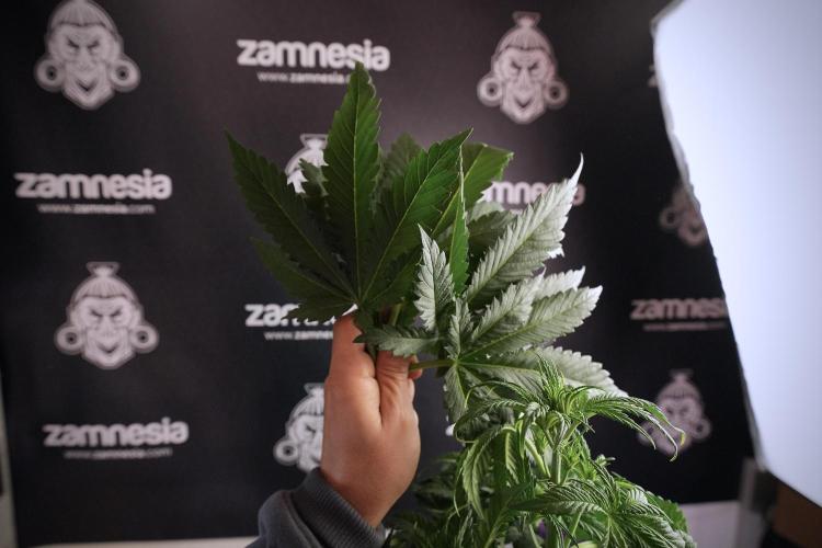 Skywalker OG Legends of the 12/12 Galaxy. Week 6 - Sky Walker OG clean up day 