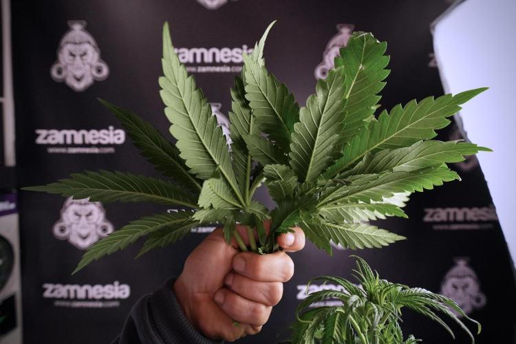 Skywalker OG Legends of the 12/12 Galaxy. Week 6 - Sky Walker OG clean up day 