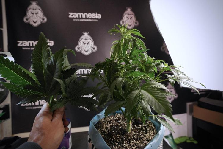 Skywalker OG Legends of the 12/12 Galaxy. Week 6 - Sky Walker OG clean up day 