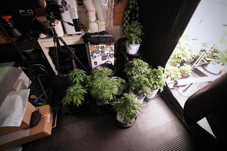 Skywalker OG Legends of the 12/12 Galaxy. Week 6 - Room vibes and evolution 