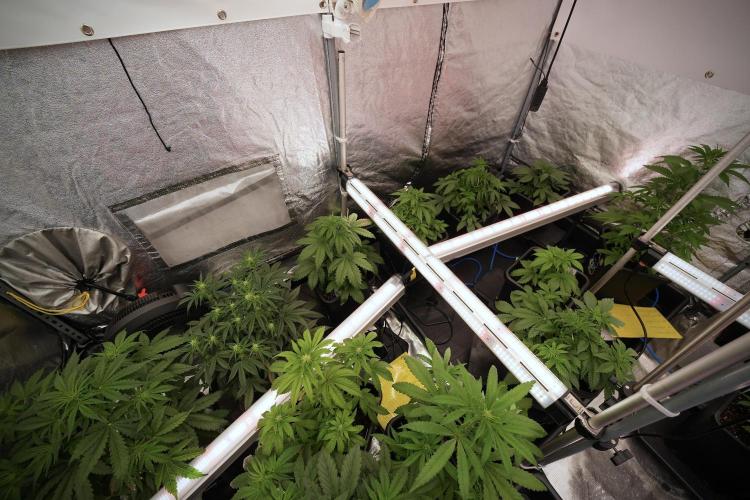 Skywalker OG Legends of the 12/12 Galaxy. Week 6 - Room vibes and evolution 