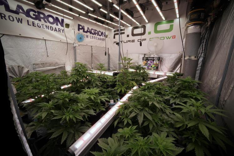 Skywalker OG Legends of the 12/12 Galaxy. Week 6 - Room vibes and evolution 