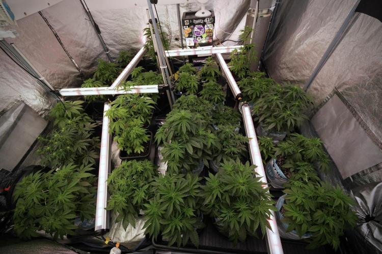 Skywalker OG Legends of the 12/12 Galaxy. Week 6 - Room vibes and evolution 