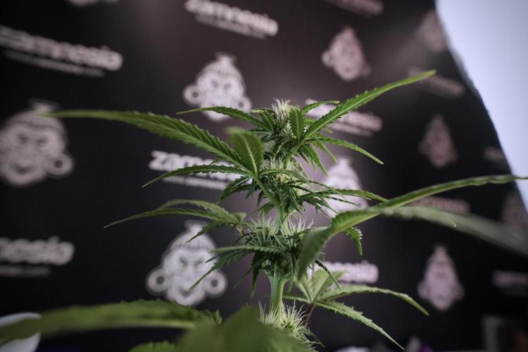 Skywalker OG Legends of the 12/12 Galaxy. Week 6 - Side project