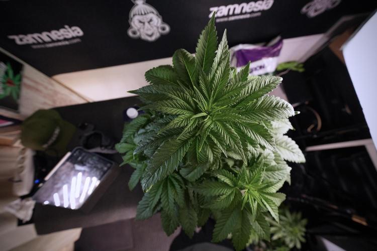 Skywalker OG Legends of the 12/12 Galaxy. Week 6 - Sky walker OG  clipping 