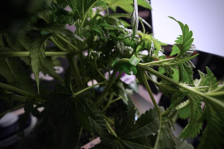 Skywalker OG Legends of the 12/12 Galaxy. Week 6 - Sky walker OG  clipping 