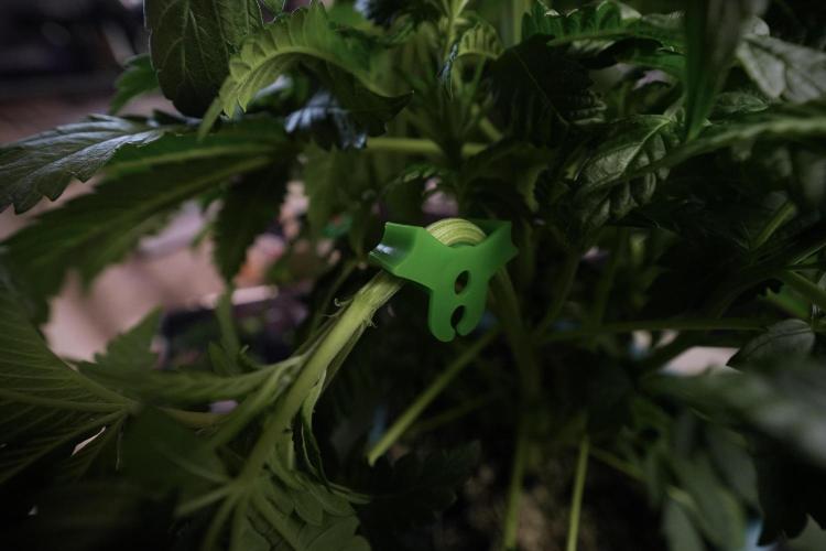 Skywalker OG Legends of the 12/12 Galaxy. Week 6 - Sky walker OG  clipping 