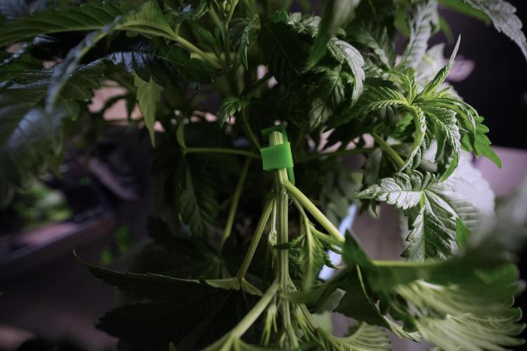 Skywalker OG Legends of the 12/12 Galaxy. Week 6 - Sky walker OG  clipping 