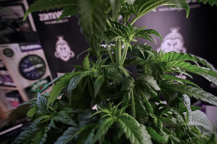 Skywalker OG Legends of the 12/12 Galaxy. Week 6 - Sky walker OG  clipping 