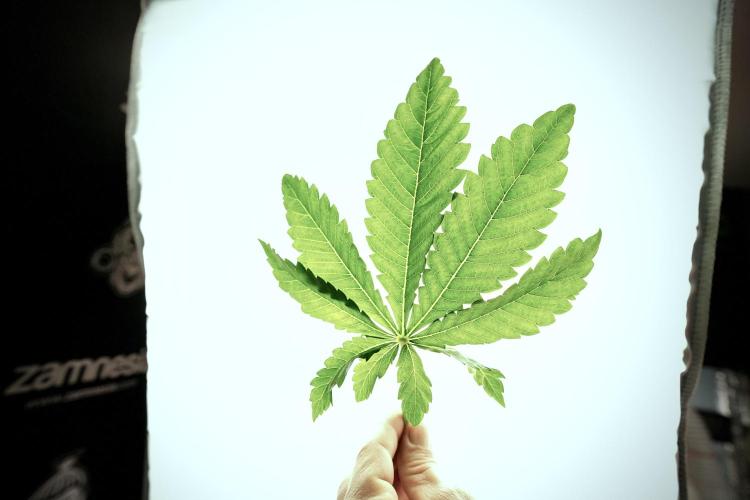 Skywalker OG Legends of the 12/12 Galaxy. Week 6 - Leafs