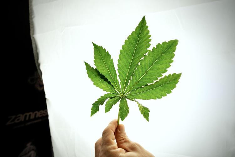 Skywalker OG Legends of the 12/12 Galaxy. Week 6 - Leafs