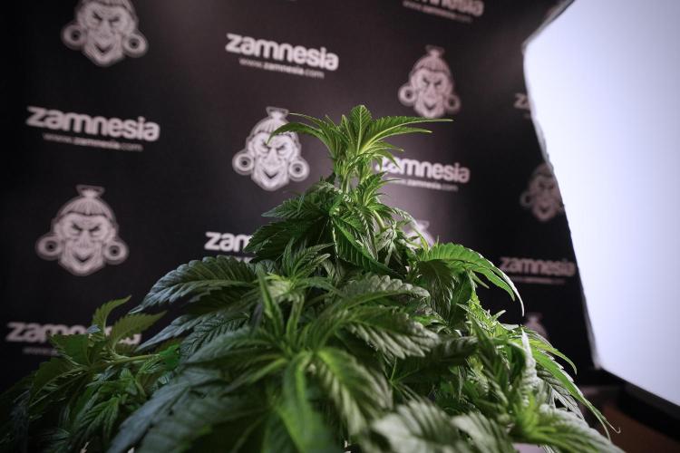 Skywalker OG Legends of the 12/12 Galaxy. Week 6 - Sky walker OG  clipping 