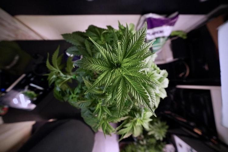 Skywalker OG Legends of the 12/12 Galaxy. Week 6 - Sky walker OG  clipping 