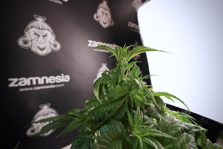 Skywalker OG Legends of the 12/12 Galaxy. Week 6 - Sky walker OG  clipping 