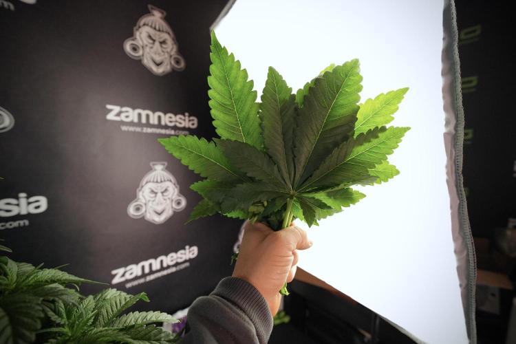 Skywalker OG Legends of the 12/12 Galaxy. Week 6