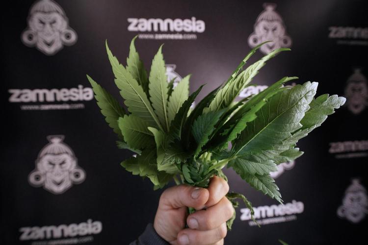 Skywalker OG Legends of the 12/12 Galaxy. Week 6