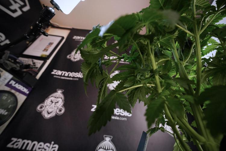 Skywalker OG Legends of the 12/12 Galaxy. Week 6 - Sky walker OG  clipping 