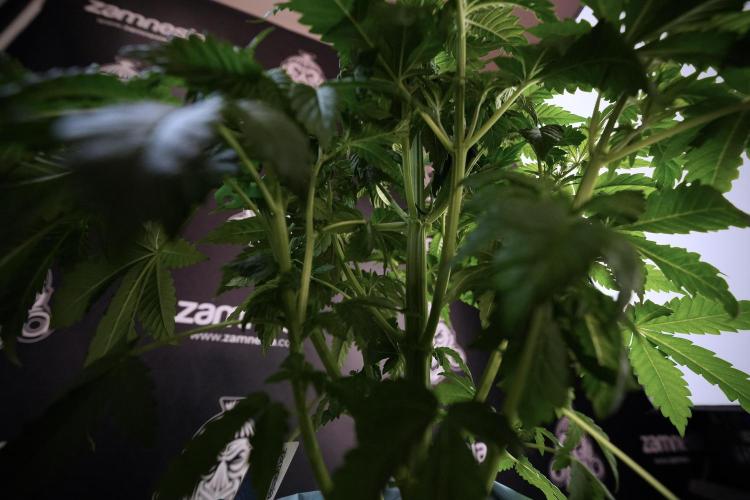 Skywalker OG Legends of the 12/12 Galaxy. Week 6 - Sky walker OG  clipping video updates