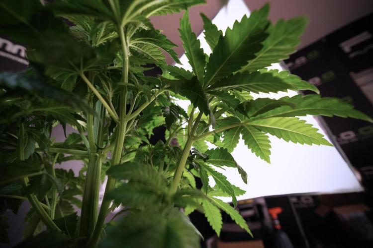 Skywalker OG Legends of the 12/12 Galaxy. Week 6 - Sky walker OG  clipping 