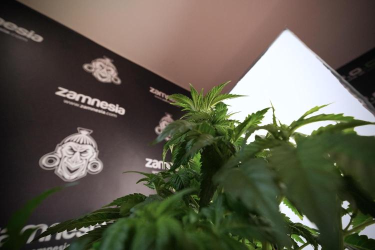 Skywalker OG Legends of the 12/12 Galaxy. Week 6 - Sky walker OG  clipping 