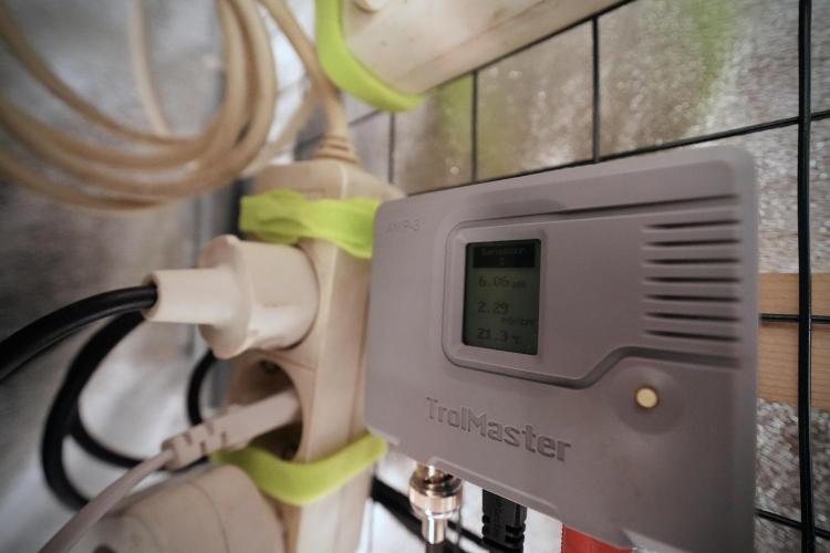 Animal Mints-Legends of the Frozen North. Week 6 - Room and Vibes