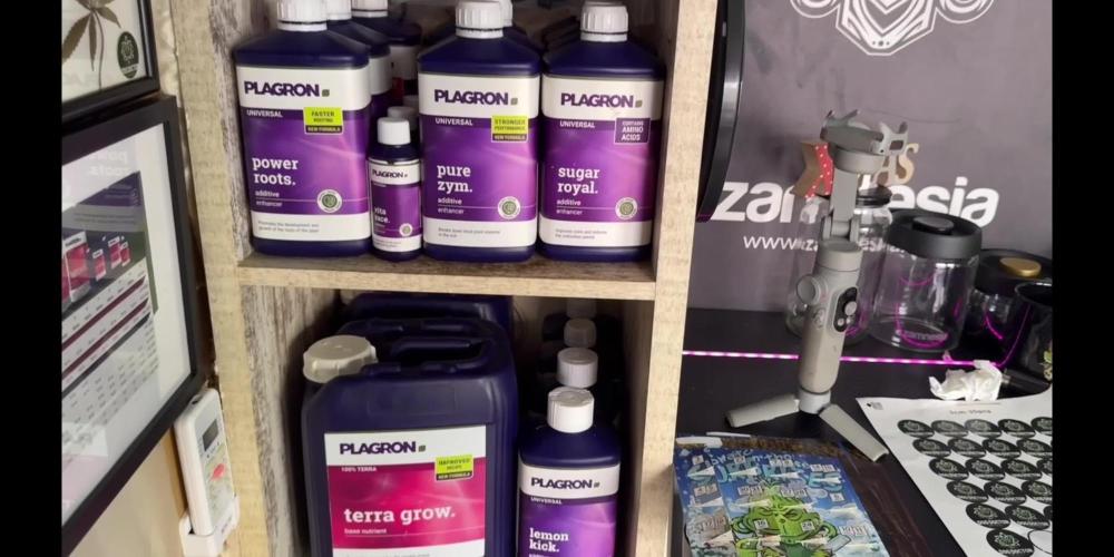 SOUR DIESEL-The Ascension of a Legend