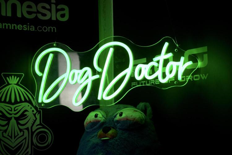 Cosmic Noodles a Zamnesia Dish. Week 7 - Mr. Baggy