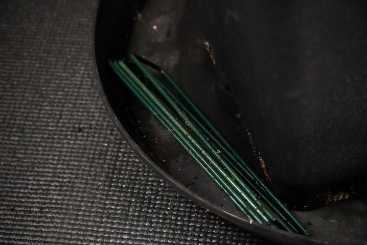 Cosmic Noodles a Zamnesia Dish. Week 7 - Clamps out 