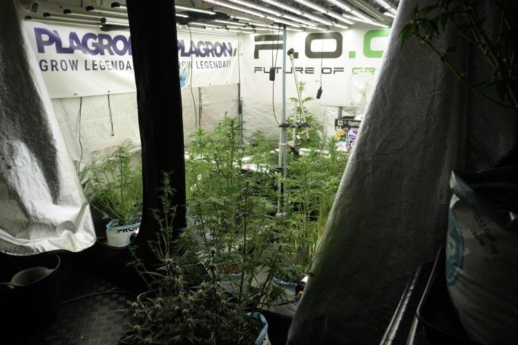 Cosmic Noodles a Zamnesia Dish. Week 7 - Room and Vibes