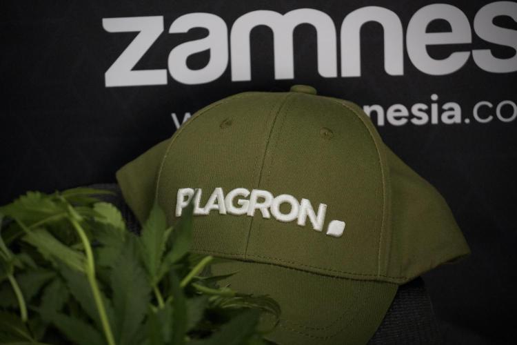 Amnesia Skunk The Zamnesia Way. Week 7 - Amnesia Skunk Defoliation Day