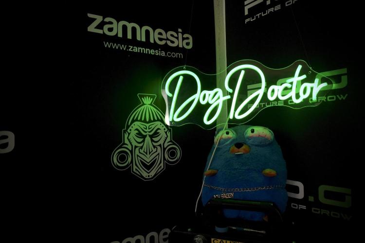 Amnesia Skunk The Zamnesia Way. Week 7 - Mr. Baggy