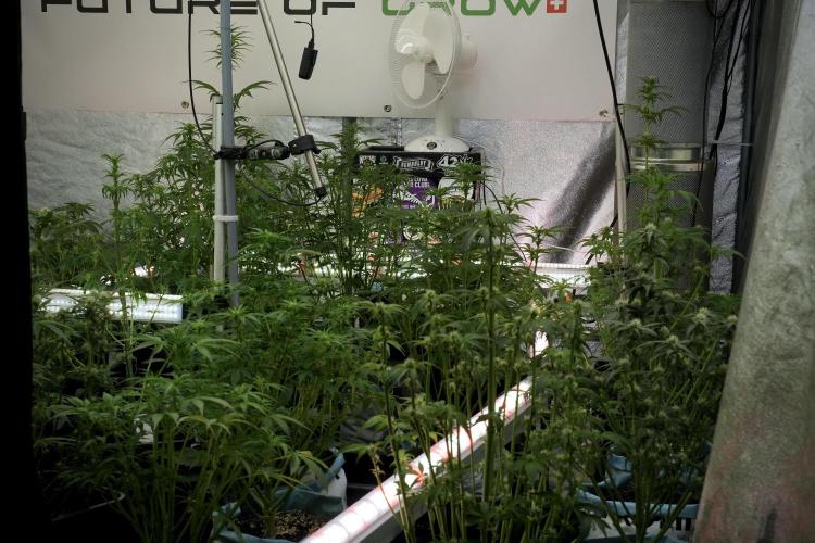 Catching The Ghost Train Haze @ Zamnesia. Week 7 - Room and Vibes