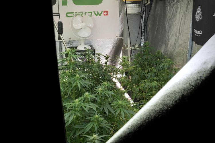 Catching The Ghost Train Haze @ Zamnesia. Week 7 - Room and Vibes 