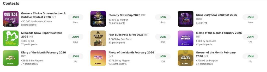 Comment by DogDoctorOfficial photo #1